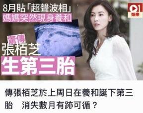 爆料生五胎网红是谁啊视频,网红五胎之谜，她是如何做到的？  第1张