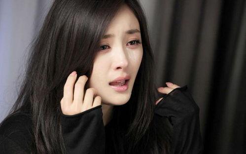 今日娱乐爆料白鹿事件,娱乐圈最新悬疑风波揭秘 第2张 今日娱乐爆料白鹿事件,娱乐圈最新悬疑风波揭秘 第2张