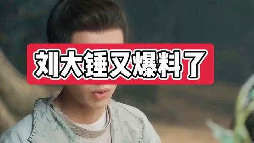 刘大锤爆料王鹤立视频,揭秘背后惊人内幕 第2张 刘大锤爆料王鹤立视频,揭秘背后惊人内幕 第2张